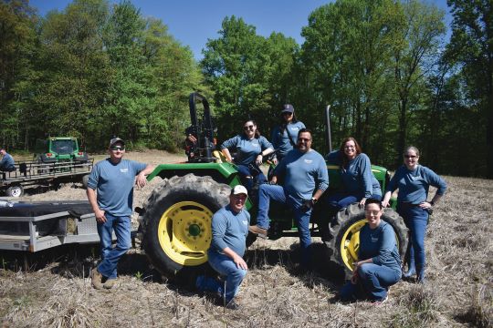 Bassett Furniture plants 200,000 trees as part of sustainability initiative