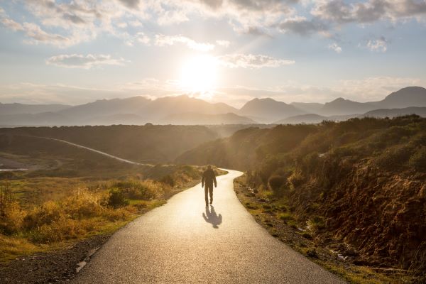 It isn’t easy, but identifying and stopping our personal Noise leads to a better life